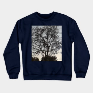 DARK NIGHT PHOTOGRAPHY MY Crewneck Sweatshirt